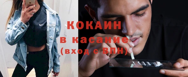 гидра Абаза