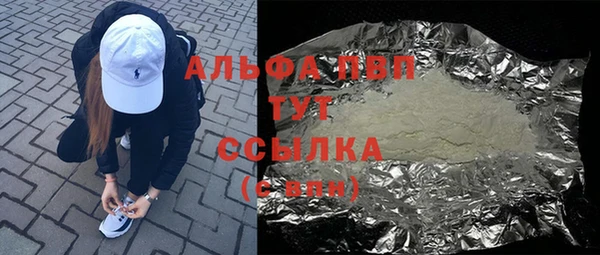 гидра Абаза