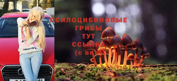 герыч Новокубанск