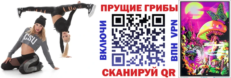 Псилоцибиновые грибы Cubensis  купить наркотики цена  Хабаровск 